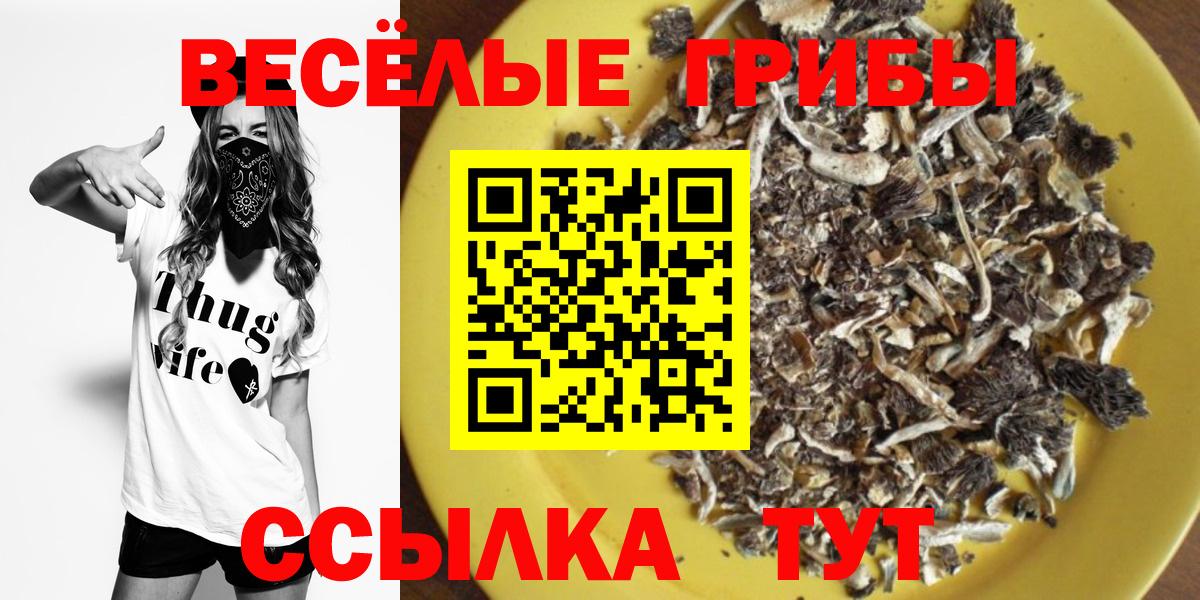 Галлюциногенные грибы Cubensis Мегион