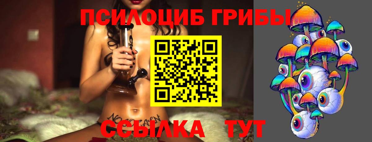 Мегион  купить   Вход с VPN  Галлюциногенные грибы Psilocybe 